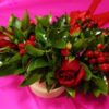 Coroncina di Laurea con rose rosse