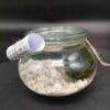 Marimo in vaso weck